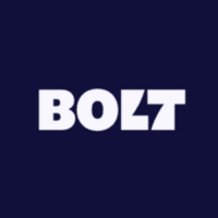 Screen Capture of the Bolt Financial Logo