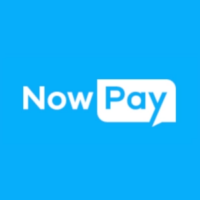 Screen Capture of the NowPay Logo