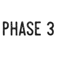 Screen Capture of the Phase 3 Logo